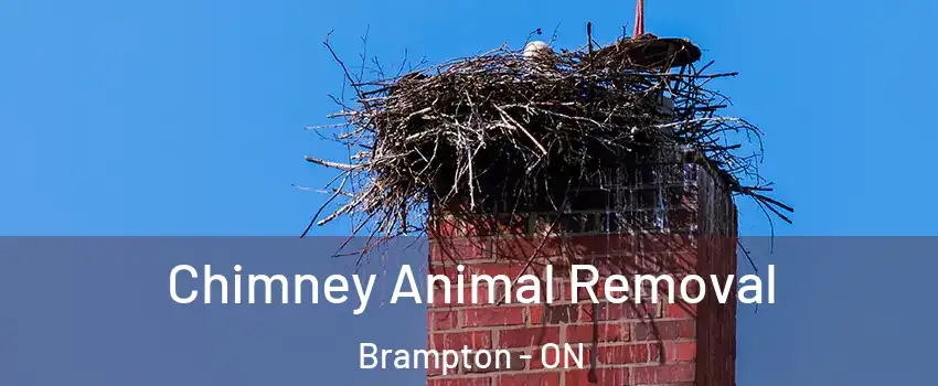 Chimney Animal Removal Brampton - ON