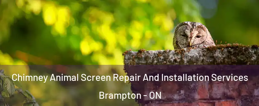  Chimney Animal Screen Repair And Installation Services Brampton - ON