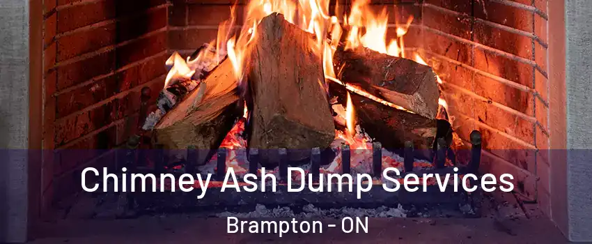  Chimney Ash Dump Services Brampton - ON