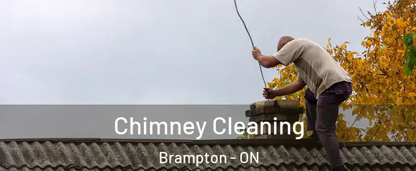  Chimney Cleaning Brampton - ON