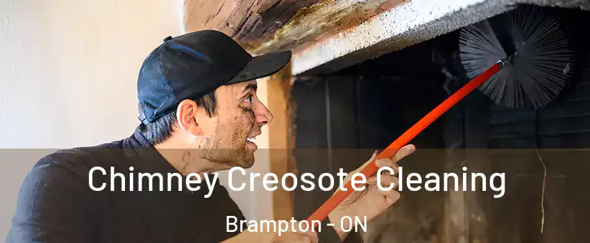  Chimney Creosote Cleaning Brampton - ON