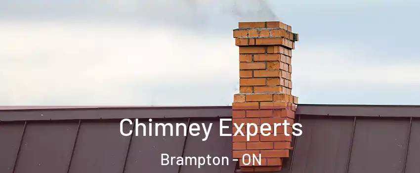 Chimney Experts Brampton - ON