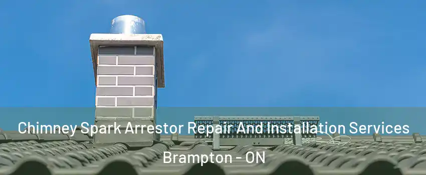  Chimney Spark Arrestor Repair And Installation Services Brampton - ON