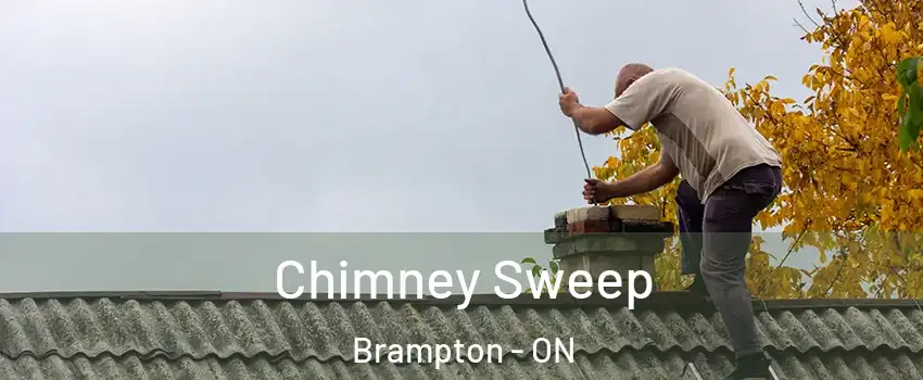  Chimney Sweep Brampton - ON