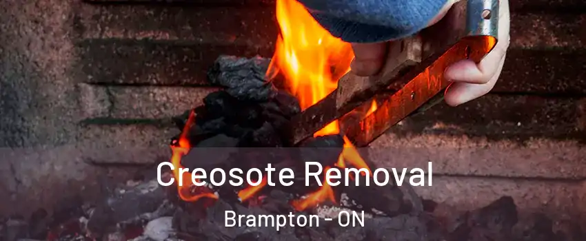  Creosote Removal Brampton - ON