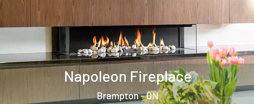  Napoleon Fireplace Brampton - ON